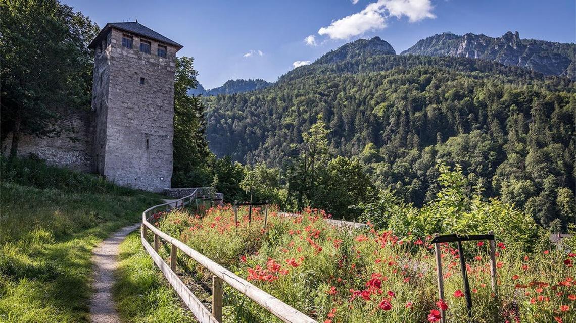 Ferienwohnungen Brigitte In Der Altstadt Bad Reichenhall Extérieur photo
